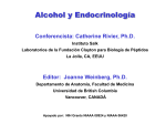 Alcohol y Endocrinología