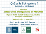 ¿Qué es la Bioingeniería? Sus muchos significados.