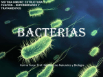 bacterias - Colegio Santa Sabina