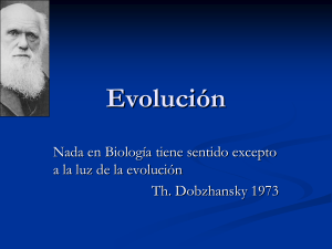 Evolución - prof.usb.ve.