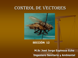 Sesion12_Vectores - eche ingenieros sr