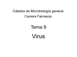 virus - Aula Virtual FCEQyN