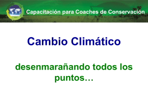 Problemas comunes y recomendaciones Planificación operativa