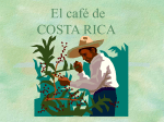 El café de COSTA RICA