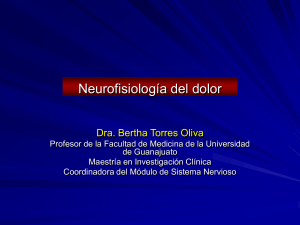 Neurofisiologia del dolor