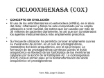 ciclooxigenasa (COX)