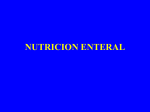 nutricion enteral nutrición enteral