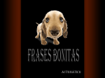 Frases bonitas