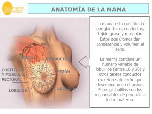 CANCER DE MAMA.pps
