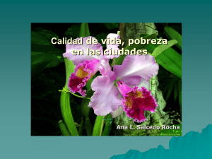 Pobreza - Ciudad - Maestría en Ciencias de la Salud Ambiental