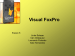 Visual FoxPro - Grid Morelos