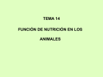 TEMA 12