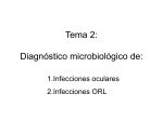 Tema 2: Diagnóstico microbiológico de: