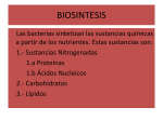 síntesis de proteínas