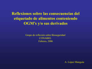 Agust&iacute;n L&oacute;pez Mungu&iacute;a