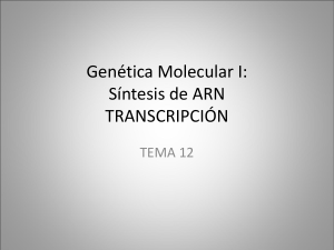 Genética Molecular I: Síntesis de ARN TRANSCRIPCIÓN