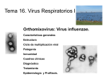 Virus respiratorios I