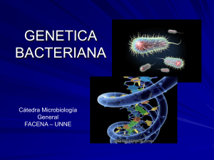 Genética bacteriana 2017