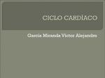 ciclo cardíaco - compucultura0404