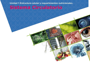 Lenguaje y Comunicación 2009