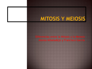 Mitosis y Meiosis