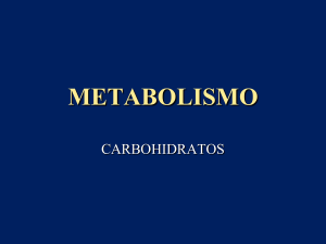 METABOLISMO D CARBOIDRATOSppt