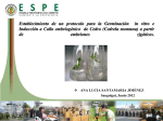 T-ESPE-033483-P - El repositorio ESPE