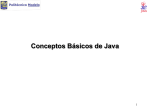 Conceptos Básicos de Java