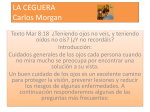 LA CEGUERA Carlos Morgan