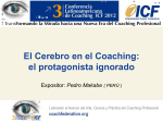 El Cerebro en el Coaching: el protagonista ignorado