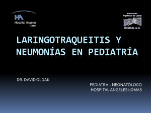 Descargar PPT