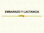 embarazo y lactancia