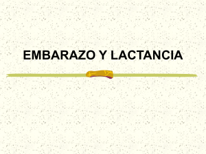 embarazo y lactancia