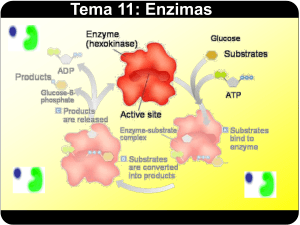 Diapositiva 1