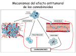 Diapositiva 1 - Sociedad Española de Investigación sobre
