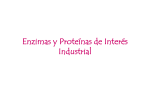 Proteinas de interes industrial