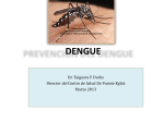 dengue - Dr. Taiguara F. Durks