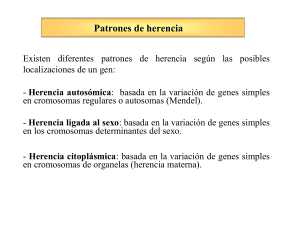 Genética Mendeliana - genoma . unsam . edu . ar