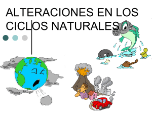 ALTERACIONES EN LOS CICLOS NATURALES