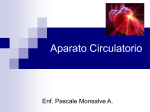 Sistema o Aparato circulatorio