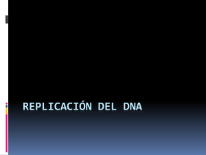 Replicación del DNA