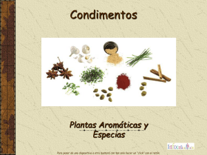 plantas aromaticas y especias