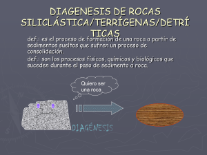 PROCESOS DIAGENETICOS