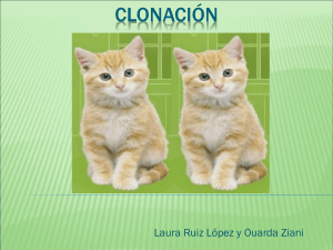 CMCclonacion (2)