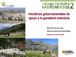 María Pilar Gómez López, Directora General de