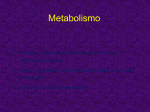 Metabolismo - fisiologiafarmacia
