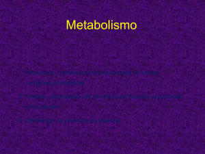 Metabolismo - fisiologiafarmacia