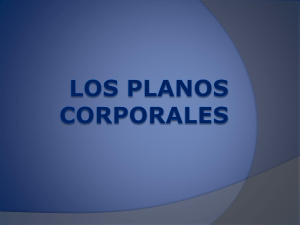 Los planos corporales