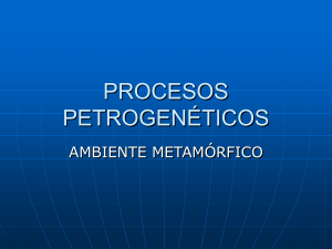 procesos petro