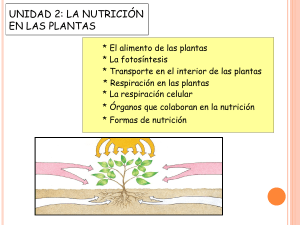 Diapositiva 1 - agro información liriano